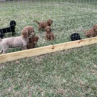 processed/5c4ba23a-7ed2-4db9-9507-897472390cbb/facility/b1c34f96-42a3-4158-96c7-f644c47ef3d5