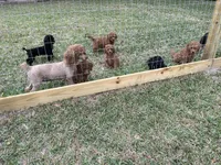 processed/5c4ba23a-7ed2-4db9-9507-897472390cbb/facility/b1c34f96-42a3-4158-96c7-f644c47ef3d5