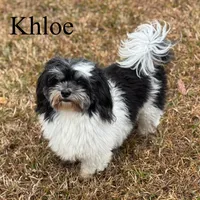 processed/5c4ba23a-7ed2-4db9-9507-897472390cbb/facility/b84b5ccf-b868-4546-a99f-9d4a30265e4b