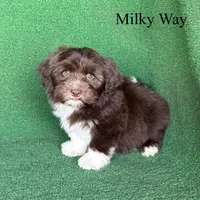 processed/5c4ba23a-7ed2-4db9-9507-897472390cbb/listing/afcfac93-0982-4a25-96b8-0876b76f6c9a/0aaca232-d79f-4459-b90e-44fdd4136901