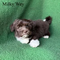 processed/5c4ba23a-7ed2-4db9-9507-897472390cbb/listing/afcfac93-0982-4a25-96b8-0876b76f6c9a/20109ee0-541c-49eb-8eb2-e679d774bbd7