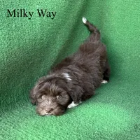 processed/5c4ba23a-7ed2-4db9-9507-897472390cbb/listing/afcfac93-0982-4a25-96b8-0876b76f6c9a/881f9ac1-19d5-4645-97ee-6fc4fdc0923a