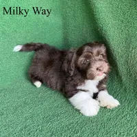 processed/5c4ba23a-7ed2-4db9-9507-897472390cbb/listing/afcfac93-0982-4a25-96b8-0876b76f6c9a/9ef72e0e-f77a-4139-849d-7ac3b5014964