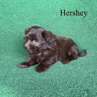 processed/5c4ba23a-7ed2-4db9-9507-897472390cbb/listing/b052fe08-28ac-4e5e-ac3f-7186b8850222/12f18b25-af9f-41ce-bc16-8c30199995f4