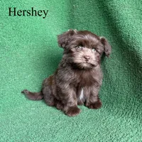 processed/5c4ba23a-7ed2-4db9-9507-897472390cbb/listing/b052fe08-28ac-4e5e-ac3f-7186b8850222/2e98de7a-7f41-4f6b-905d-c9363a99bb2d