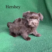 processed/5c4ba23a-7ed2-4db9-9507-897472390cbb/listing/b052fe08-28ac-4e5e-ac3f-7186b8850222/4b92d99a-cb90-4276-afc8-73fddac60926