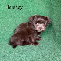 processed/5c4ba23a-7ed2-4db9-9507-897472390cbb/listing/b052fe08-28ac-4e5e-ac3f-7186b8850222/568d137a-abe4-4cf0-9b05-f35af0e4b63b