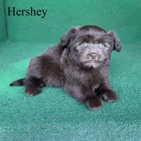 processed/5c4ba23a-7ed2-4db9-9507-897472390cbb/listing/b052fe08-28ac-4e5e-ac3f-7186b8850222/58a9ea39-a70d-4c9c-a4c3-897a497f29e0