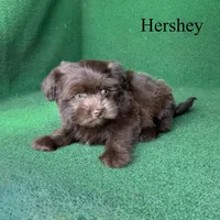 processed/5c4ba23a-7ed2-4db9-9507-897472390cbb/listing/b052fe08-28ac-4e5e-ac3f-7186b8850222/688f70da-a650-4042-b8e6-d16a53bef3c3