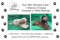 processed/5c4ba23a-7ed2-4db9-9507-897472390cbb/listing/b052fe08-28ac-4e5e-ac3f-7186b8850222/c2df48cb-d460-490e-9c31-5d66f5cf5919