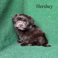 processed/5c4ba23a-7ed2-4db9-9507-897472390cbb/listing/b052fe08-28ac-4e5e-ac3f-7186b8850222/e10c3c50-bd7d-46a3-afe0-4fcd8e2114e7