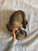 processed/5c4d11a3-eb20-4fb9-bba4-9f28a2c8bc4f/listing/90a7d1bb-eb5f-48d0-983b-109a9b3fa1a0/0f3ac06b-ce96-4394-8fee-9cb69c8ae071