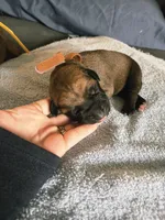 processed/5c4d11a3-eb20-4fb9-bba4-9f28a2c8bc4f/listing/90a7d1bb-eb5f-48d0-983b-109a9b3fa1a0/326be708-14a2-4a80-9513-918a02fa76b7