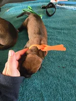 processed/5c4d11a3-eb20-4fb9-bba4-9f28a2c8bc4f/listing/b1fdd598-3377-4b6d-90ba-c39eaffaf9d0/3c12f796-4810-48f7-bb56-2d97c532caca