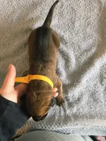 processed/5c4d11a3-eb20-4fb9-bba4-9f28a2c8bc4f/listing/b9c4d5e1-d445-408a-8070-78c66fa31b2b/20cac79c-a6f9-49d2-ab2e-8122d2c75876