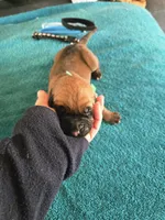 processed/5c4d11a3-eb20-4fb9-bba4-9f28a2c8bc4f/listing/e54ac25d-85c7-4401-8a52-9a572469e079/36837866-a6d4-4dfd-9585-f44c70fd21aa