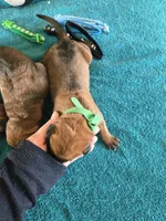 processed/5c4d11a3-eb20-4fb9-bba4-9f28a2c8bc4f/listing/e54ac25d-85c7-4401-8a52-9a572469e079/e4055a0b-ab63-4071-a883-5ddebee3f932