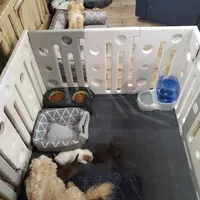 processed/5c5019f8-2310-4038-bd38-40c10b764aab/facility/47cb6968-a6a9-452a-aace-f7444f4d267f