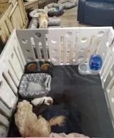 processed/5c5019f8-2310-4038-bd38-40c10b764aab/facility/47cb6968-a6a9-452a-aace-f7444f4d267f