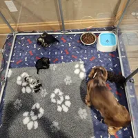 processed/5c5019f8-2310-4038-bd38-40c10b764aab/facility/5d8232f5-7e15-4d70-87c5-9b9487407299