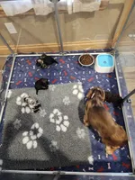 processed/5c5019f8-2310-4038-bd38-40c10b764aab/facility/5d8232f5-7e15-4d70-87c5-9b9487407299