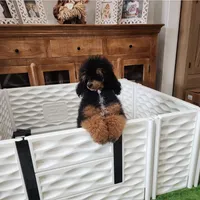 processed/5c5019f8-2310-4038-bd38-40c10b764aab/facility/62aff6ee-e6fa-4e9e-9907-9d0eb724f883