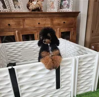 processed/5c5019f8-2310-4038-bd38-40c10b764aab/facility/62aff6ee-e6fa-4e9e-9907-9d0eb724f883