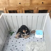 processed/5c5019f8-2310-4038-bd38-40c10b764aab/facility/92a95689-660a-4ae6-84bc-7dff7f2c5873