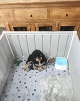 processed/5c5019f8-2310-4038-bd38-40c10b764aab/facility/92a95689-660a-4ae6-84bc-7dff7f2c5873