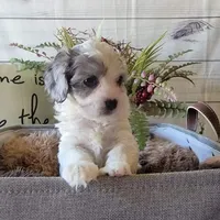 processed/5c5019f8-2310-4038-bd38-40c10b764aab/facility/a7c56ae6-eaf1-46c8-b530-5d302bd37745