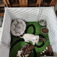 processed/5c5019f8-2310-4038-bd38-40c10b764aab/facility/afca4df1-7dac-41ae-9a74-0f6de905317b