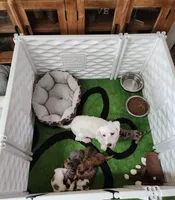 processed/5c5019f8-2310-4038-bd38-40c10b764aab/facility/afca4df1-7dac-41ae-9a74-0f6de905317b