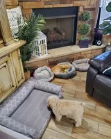 processed/5c5019f8-2310-4038-bd38-40c10b764aab/facility/bf4f704e-1a1c-464c-a843-7cc947459a49