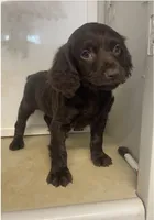 processed/5c588b6e-eaa9-496e-a191-29f3b66db96a/listing/197b3428-f566-4ddb-ba49-dbffd7bbebdd/25928bf0-b2b1-4d40-9e0a-974919252909