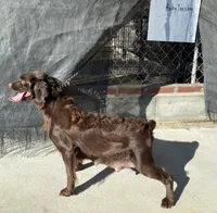 processed/5c588b6e-eaa9-496e-a191-29f3b66db96a/listing/197b3428-f566-4ddb-ba49-dbffd7bbebdd/93275450-aef3-47be-9196-9c8ebeae77e5