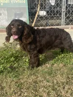 processed/5c588b6e-eaa9-496e-a191-29f3b66db96a/listing/197b3428-f566-4ddb-ba49-dbffd7bbebdd/a3b21674-6df2-4a7c-b5ec-ce0117a2c17e