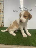 processed/5c588b6e-eaa9-496e-a191-29f3b66db96a/listing/736b252c-9526-45cb-bf5d-54191b5e401a/0fd923df-50eb-4e75-84a8-8666dd00cd28