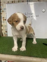 processed/5c588b6e-eaa9-496e-a191-29f3b66db96a/listing/736b252c-9526-45cb-bf5d-54191b5e401a/1bd70ca4-d59b-43b5-bad0-5baa1b8e35f5