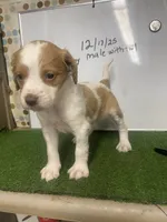 processed/5c588b6e-eaa9-496e-a191-29f3b66db96a/listing/736b252c-9526-45cb-bf5d-54191b5e401a/556c2281-71b0-47de-9230-a73a3280cb0e