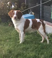 processed/5c588b6e-eaa9-496e-a191-29f3b66db96a/listing/736b252c-9526-45cb-bf5d-54191b5e401a/b79bbf09-f75a-4ef8-aa99-ec7127cb780d