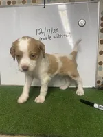 processed/5c588b6e-eaa9-496e-a191-29f3b66db96a/listing/736b252c-9526-45cb-bf5d-54191b5e401a/bd0bb755-2865-4356-8d49-b78d3bdb6b24