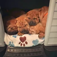 processed/5c5c9cff-dbbe-4e23-906f-bf11f3b62876/facility/2fe06a85-d872-43b1-9300-48828f5f164b