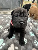 processed/5c5c9cff-dbbe-4e23-906f-bf11f3b62876/listing/417fe571-2b5a-4693-a027-d023ffe85c2d/6d6ce365-470f-4857-9f94-d6704c268953