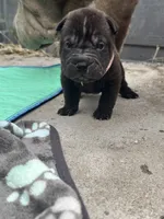 processed/5c5c9cff-dbbe-4e23-906f-bf11f3b62876/listing/417fe571-2b5a-4693-a027-d023ffe85c2d/8c50ff89-626c-45ec-8dbc-9657fe7cb297