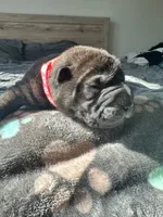 processed/5c5c9cff-dbbe-4e23-906f-bf11f3b62876/listing/417fe571-2b5a-4693-a027-d023ffe85c2d/efb64a94-723f-45f7-8afe-f760470ed6d4