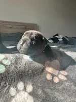 processed/5c5c9cff-dbbe-4e23-906f-bf11f3b62876/listing/a0eb7ade-02c0-40a4-ac3b-46e919060080/211846e3-9aa7-4ead-8b88-30eb92adb409