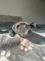 processed/5c5c9cff-dbbe-4e23-906f-bf11f3b62876/listing/a0eb7ade-02c0-40a4-ac3b-46e919060080/3d8fda3a-a906-4297-8cf5-c637d00026b4