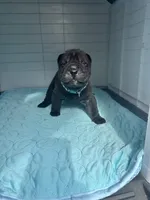 processed/5c5c9cff-dbbe-4e23-906f-bf11f3b62876/listing/a0eb7ade-02c0-40a4-ac3b-46e919060080/66d71314-48a0-4bd0-a325-f8e3b4a5465f