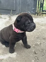 processed/5c5c9cff-dbbe-4e23-906f-bf11f3b62876/listing/d1dec10b-eb26-4551-95c6-4c4a66582415/0e321cb6-33f1-4fe7-afd2-9fb7bf95e432