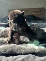 processed/5c5c9cff-dbbe-4e23-906f-bf11f3b62876/listing/d1dec10b-eb26-4551-95c6-4c4a66582415/47a7efff-fa96-4861-8b01-062710b21b30